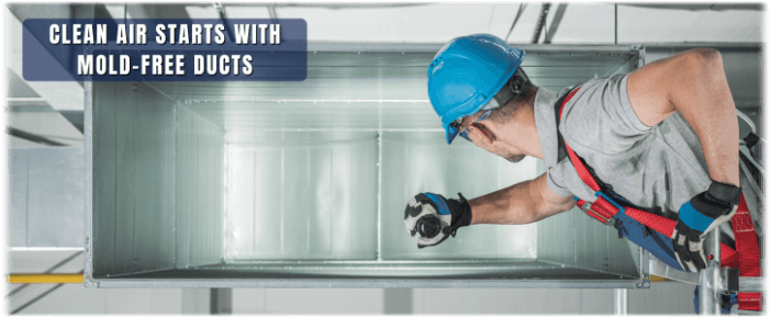Air Duct Mold Removal in Phoenix