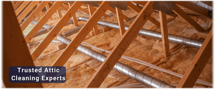 Attic Cleaning Phoenix
