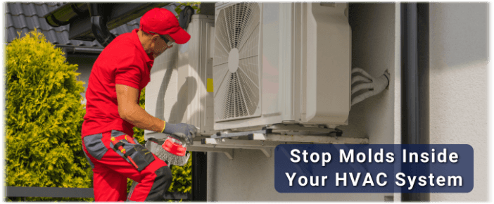 HVAC Mold Removal Phoenix